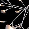 Moooi Heracleum Lampada a sospensione LED nichel - small