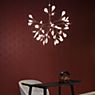 Moooi Heracleum Pendant Light LED copper - large application picture