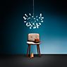 Moooi Heracleum Pendant Light LED nickel - large application picture