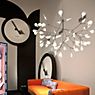 Moooi Heracleum Pendant Light LED nickel - small application picture