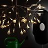 Moooi Heracleum Pendant Light LED white - large application picture