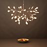 Moooi Heracleum Pendel LED nikkel - small