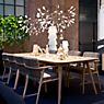 Moooi Heracleum Pendelleuchte LED Nickel - small Anwendungsbild