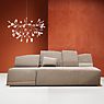 Moooi Heracleum Pendelleuchte LED Nickel - small Anwendungsbild