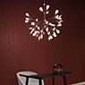 Moooi Heracleum Pendelleuchte LED Nickel - small Anwendungsbild