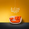 Moooi Heracleum Pendelleuchte LED Nickel - small Anwendungsbild