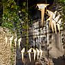 Moooi Perch Light Branch LED brass - large application picture