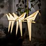 Moooi Perch Light Branch LED brass - large application picture