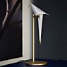 Moooi Perch Light Table LED brass application picture