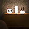 Moooi Pet Lights Lampada da tavolo Noot Noot - immagine di applicazione