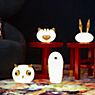 Moooi Pet Lights Table lamp Grwoww application picture