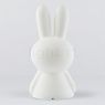 Mr. Maria Miffy Table and Floor Light LED white