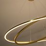 Nemo Ellisse Double, lámpara de suspensión LED vergoldet - 2.700 K - 135 cm