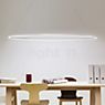 Nemo Ellisse Pendel LED aluminium poliert - downlight - 135 cm ansøgning billede