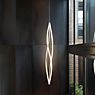 Nemo In The Wind Pendant Light Vertical gold - 2,700 K application picture
