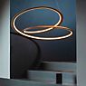 Nemo Kepler Hanglamp LED goud - 110 cm - uplight productafbeelding