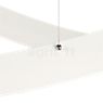 Nemo Kepler Suspension LED schwarz - 110 cm - downlight - Une monture de suspension tient le corps sinueux de la Kepler en équilibre.