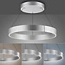 Neuhaus PURE® by Paul Neuhaus E-Clipse Hanglamp LED zilver - ø70 cm - e-LIFT®