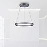 Neuhaus PURE® by Paul Neuhaus E-Loop Hanglamp LED grijs - ø70 cm - e-LIFT® productafbeelding