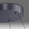 Neuhaus PURE® by Paul Neuhaus E-Loop Hanglamp LED grijs - ø70 cm - e-LIFT®