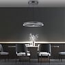 Neuhaus PURE® by Paul Neuhaus E-Loop Suspension LED gris - ø70 cm - e-LIFT® - produit en situation