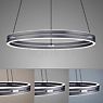 Neuhaus PURE® by Paul Neuhaus E-Loop Suspension LED gris - ø70 cm - e-LIFT®