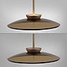 Neuhaus PURE® by Paul Neuhaus E-Moon Suspension LED bronze - 50 cm