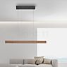 Neuhaus PURE® by Paul Neuhaus E-Motion Hanglamp LED bruin productafbeelding