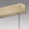 Neuhaus PURE® by Paul Neuhaus E-Motion Hanglamp LED goud