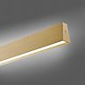 Neuhaus PURE® by Paul Neuhaus E-Motion Hanglamp LED goud