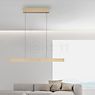 Neuhaus PURE® by Paul Neuhaus E-Motion Hanglamp LED goud productafbeelding