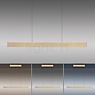 Neuhaus PURE® by Paul Neuhaus E-Motion Pendelleuchte LED gold