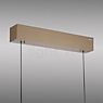 Neuhaus PURE® by Paul Neuhaus E-Popup Suspension LED bronze