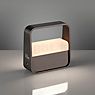 Neuhaus PURE® by Paul Neuhaus Go Lampe rechargeable LED marron