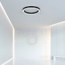 Neuhaus PURE® by Paul Neuhaus Lines Round Deckenleuchte LED anthrazit - ø50 cm Anwendungsbild