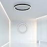 Neuhaus PURE® by Paul Neuhaus Lines Round Deckenleuchte LED anthrazit - ø70 cm Anwendungsbild