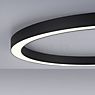 Neuhaus PURE® by Paul Neuhaus Lines Round Deckenleuchte LED anthrazit - ø70 cm