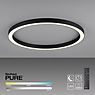 Neuhaus PURE® by Paul Neuhaus Lines Round Plafondlamp LED antraciet - ø70 cm