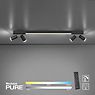 Neuhaus PURE® by Paul Neuhaus Lines Spot Deckenleuchte LED anthrazit