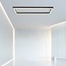 Neuhaus PURE® by Paul Neuhaus Lines Square Deckenleuchte LED anthrazit - 110 x 30 cm Anwendungsbild