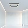 Neuhaus PURE® by Paul Neuhaus Lines Square Plafondlamp LED antraciet - 55 x 55 cm productafbeelding