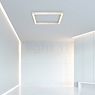 Neuhaus PURE® by Paul Neuhaus Lines Square Plafondlamp LED zilver - 55 x 55 cm productafbeelding