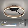 Neuhaus PURE® by Paul Neuhaus Loop Plafonnier LED noir/laiton