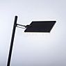 Neuhaus PURE® by Paul Neuhaus Mira Lampadaire LED noir