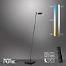 Neuhaus PURE® by Paul Neuhaus Mira Lampadaire LED noir