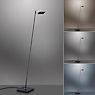 Neuhaus PURE® by Paul Neuhaus Mira Lampadaire LED noir