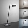 Neuhaus PURE® by Paul Neuhaus Mira Lampe de table LED noir