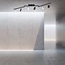 Neuhaus PURE® by Paul Neuhaus Mira Plafondlamp LED 6-lichts zwart productafbeelding