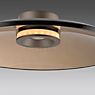 Neuhaus PURE® by Paul Neuhaus Moon Deckenleuchte LED 50 cm