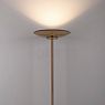 Neuhaus PURE® by Paul Neuhaus Moon Lampadaire LED bronze